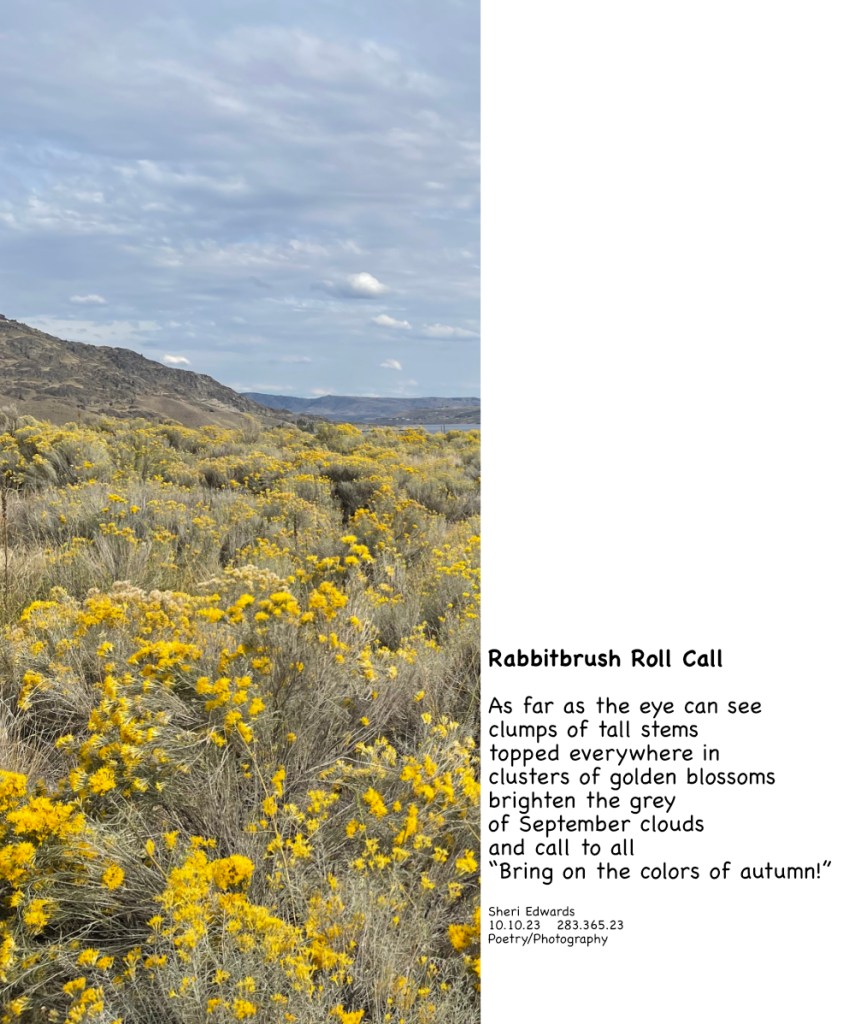 September, 2023 near the boat launch at Crescent Bay in the Lake Roosevelt National Recreation Area.