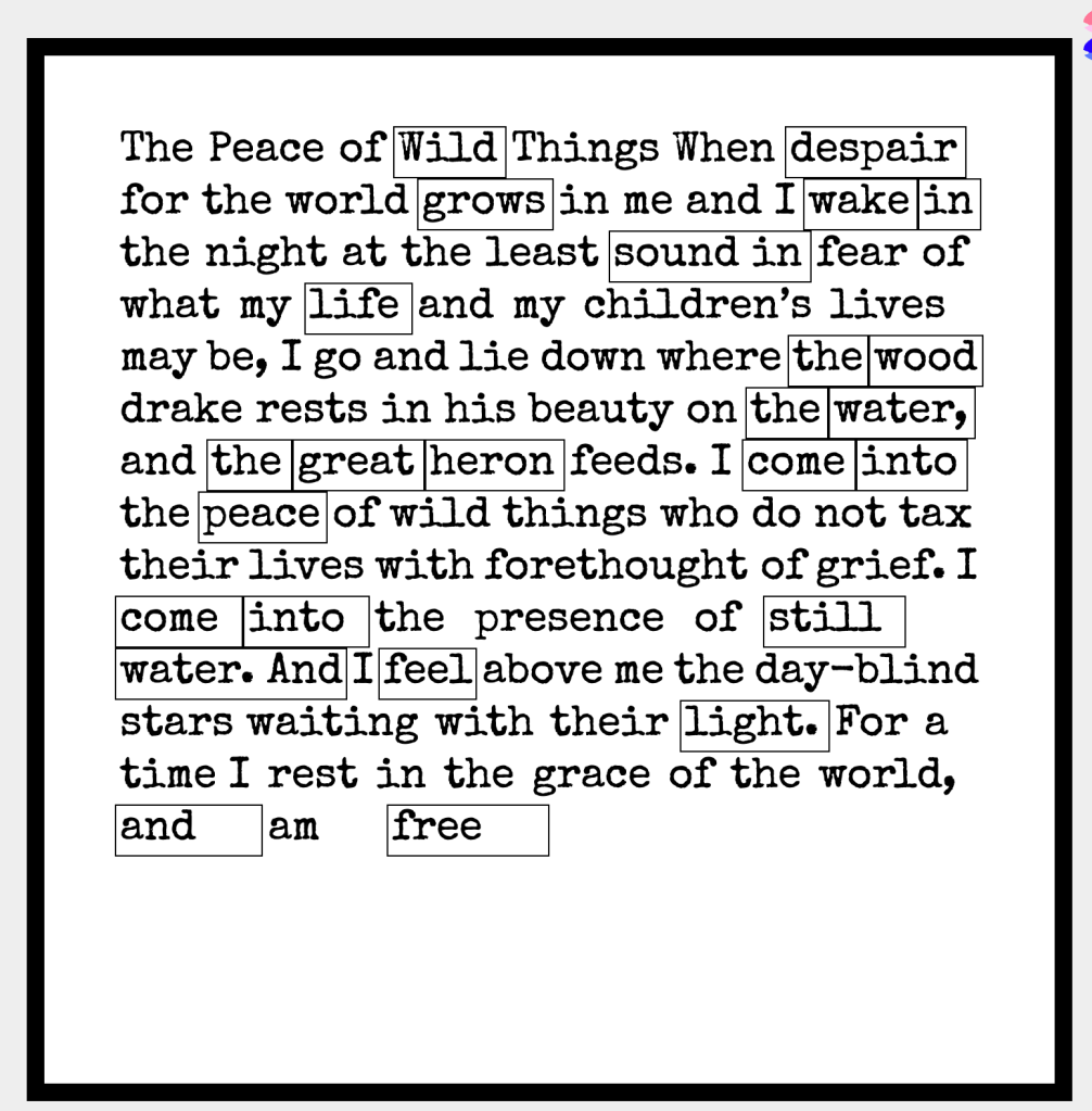 Wendell Berry poem with black out words chosen: The Peace of Wild Things
When despair for the world grows in me
and I wake in the night at the least sound
in fear of what my life and my children’s lives may be,
I go and lie down where the wood drake
rests in his beauty on the water, and the great heron feeds.
I come into the peace of wild things
who do not tax their lives with forethought
of grief. I come into the presence of still water.
And I feel above me the day-blind stars
waiting with their light. For a time
I rest in the grace of the world, and am free
