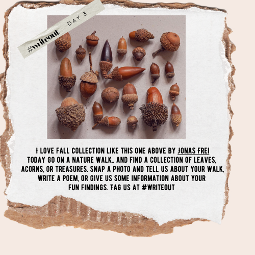 a poster collection of acorns with a WriteOut Day 3 prompt to take a nature walk and find your own collection from nature