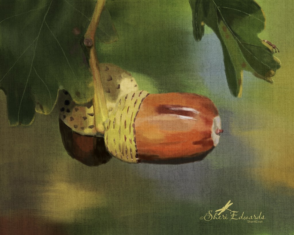 two acorns on an oak tree with a little bug peaking over one leaf; in digital oil by Sheri Edwards