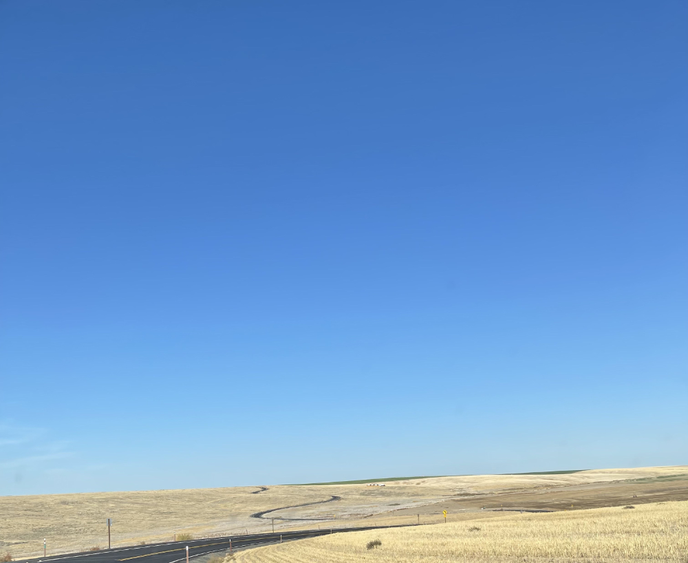 Big blue sky above wheat fields and winding road near Odessa; we are so small.