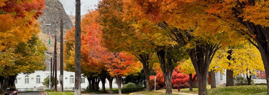 Autumn on Douglas Street, Coulee Dam, WA