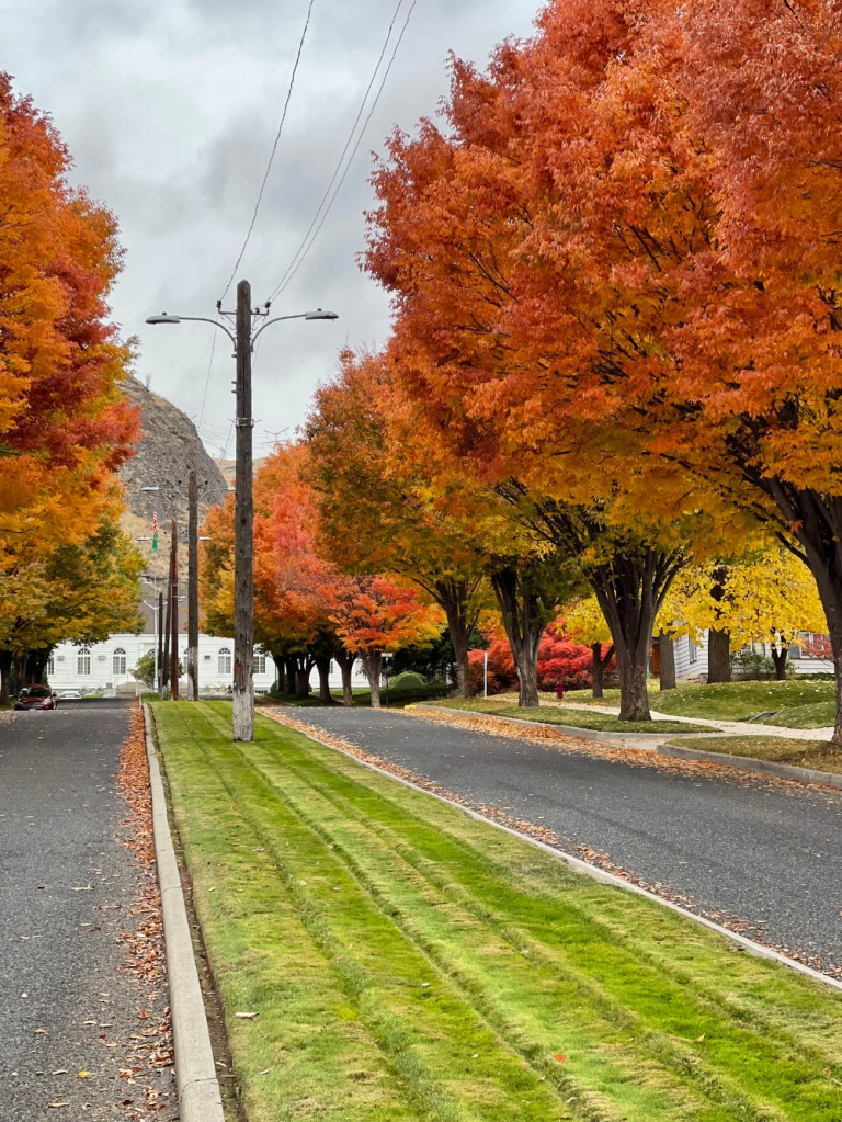 Autumn on Douglas Street, Coulee Dam, WA