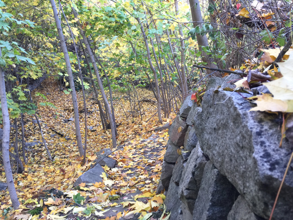 autumn path to Fiddle Creek