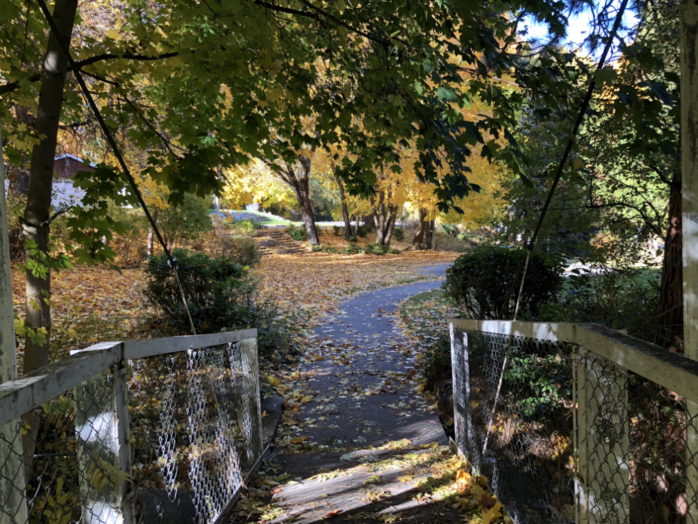 autumn leaves and Footbridge over Fiddle Creek
Cole Park, Coulee Dam, WA