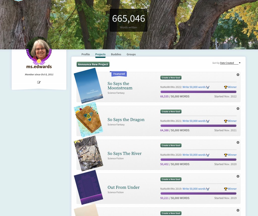 My NaNoWriMo Projects