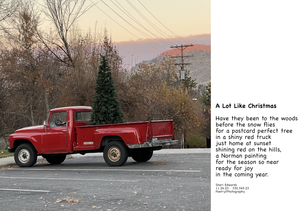 a perfect Christmas Tree in a shiny red truck at sunset where the hills shine orange and poem