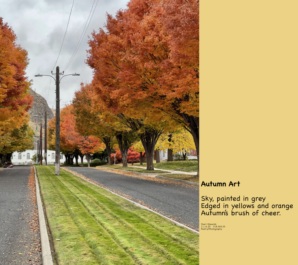 Autumn on Douglas Street, Coulee Dam, WA and poem: 

Autumn Art

Sky, painted in grey
Edged in yellows and orange
Autumn’s brush of cheer.

Sheri Edwards