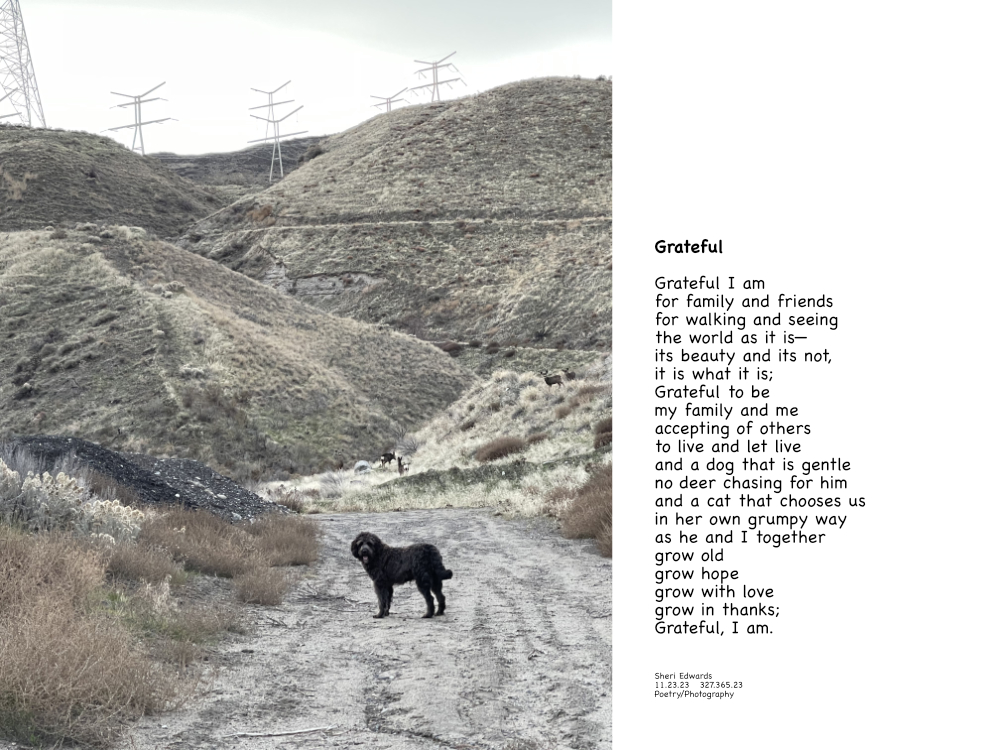 Fluffy black dog in front of herd of deer in a canyon and poem "Grateful"