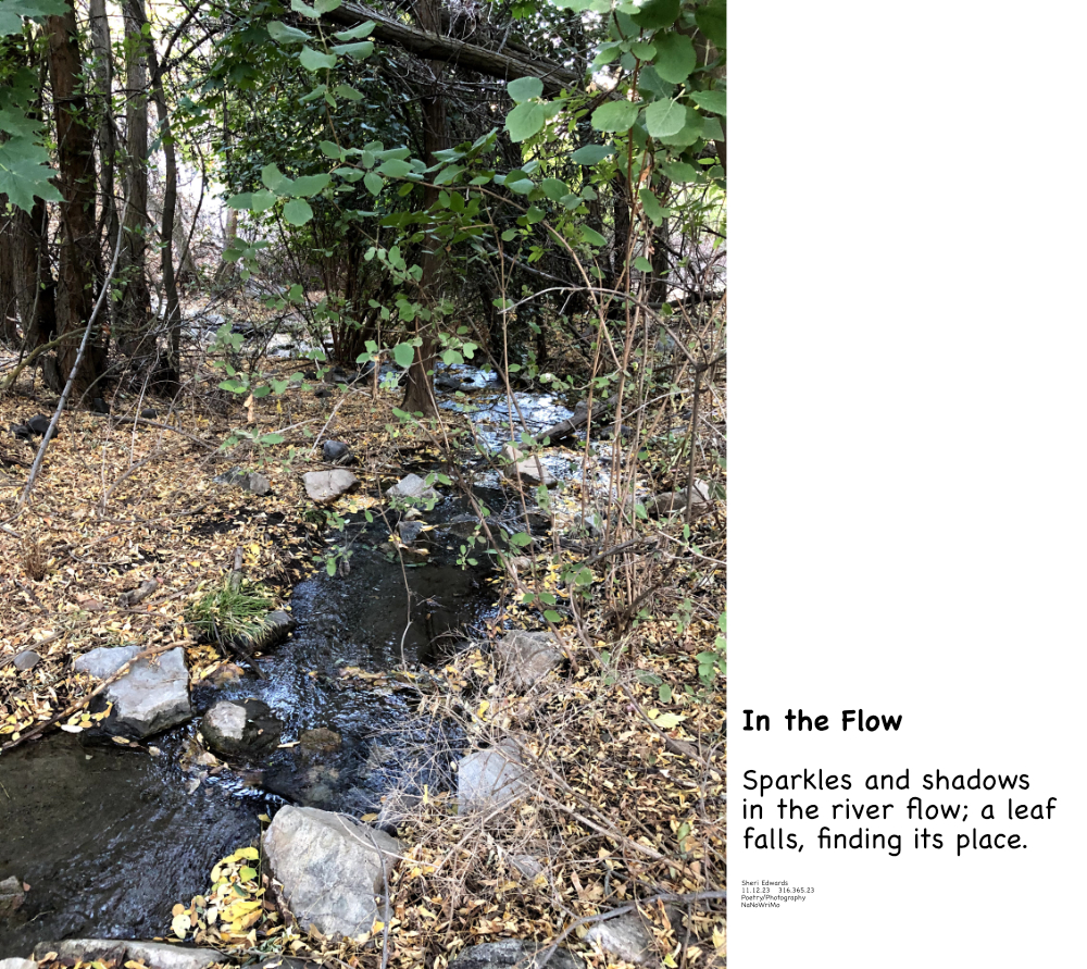Fiddle Creek with shadows and sparkles filtered through the canopy and haiku