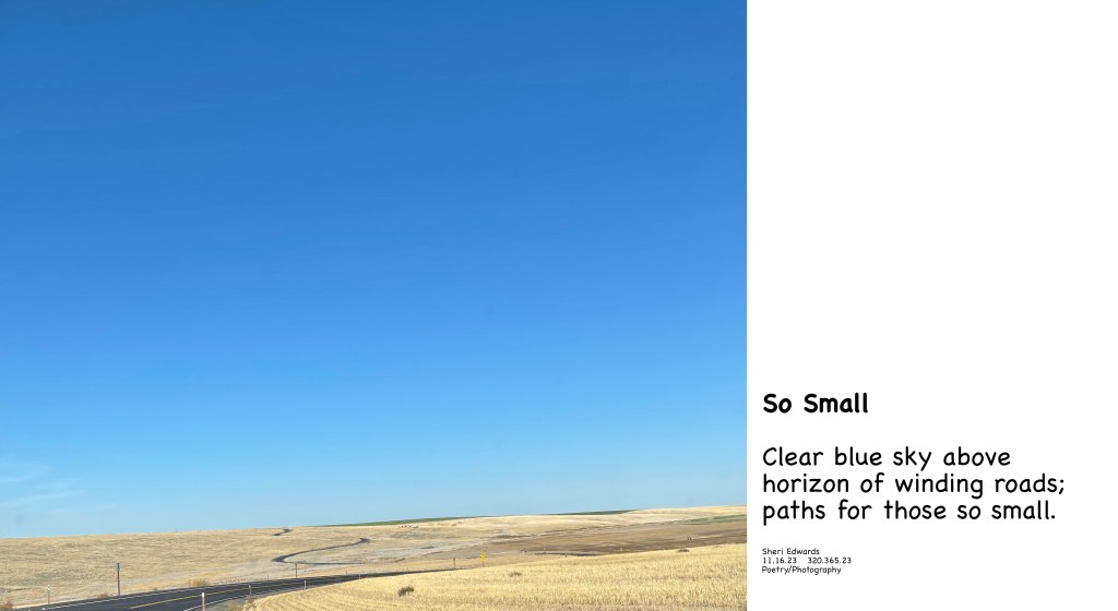 Big blue sky above wheat fields and winding road near Odessa;, WA and haiku