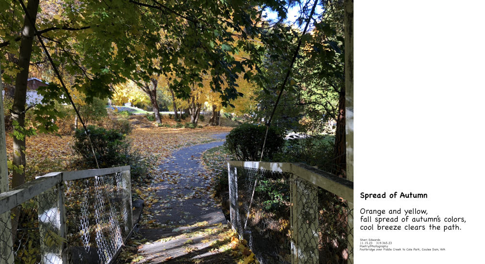 autumn leaves and Footbridge over Fiddle Creek
Cole Park, Coulee Dam, WA and haiku poem