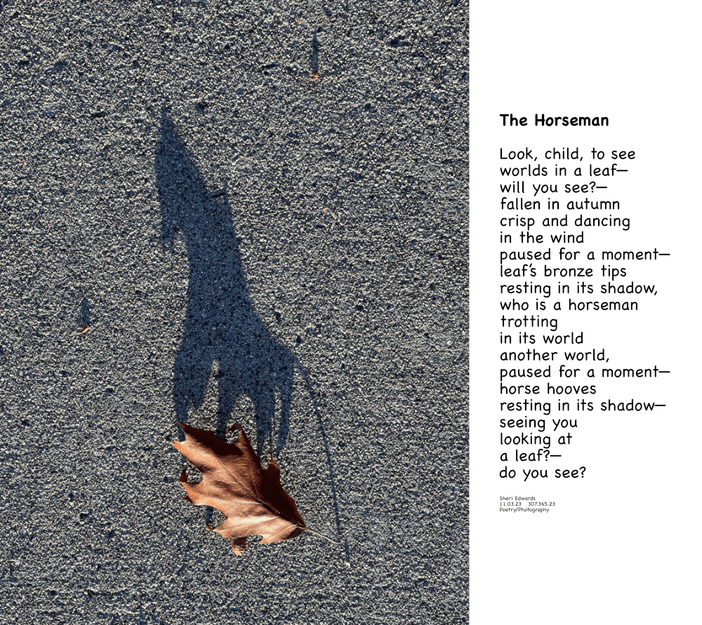 a crisp, bronze autumn leaf on the sidewalk whose shadow looks like a horseman -- and poem