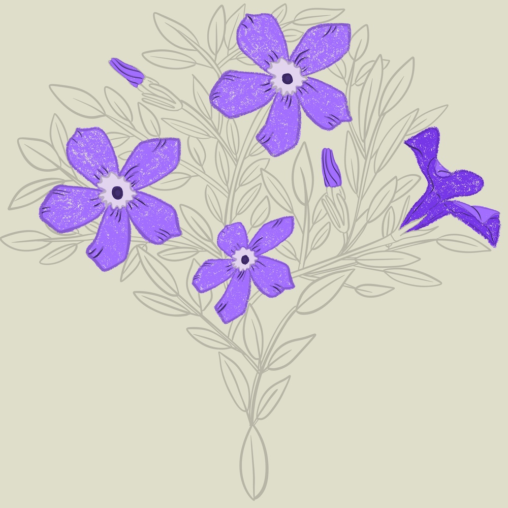 painting sketch outline by Sheri Edwards :Joy on the Ground [periwinkle]