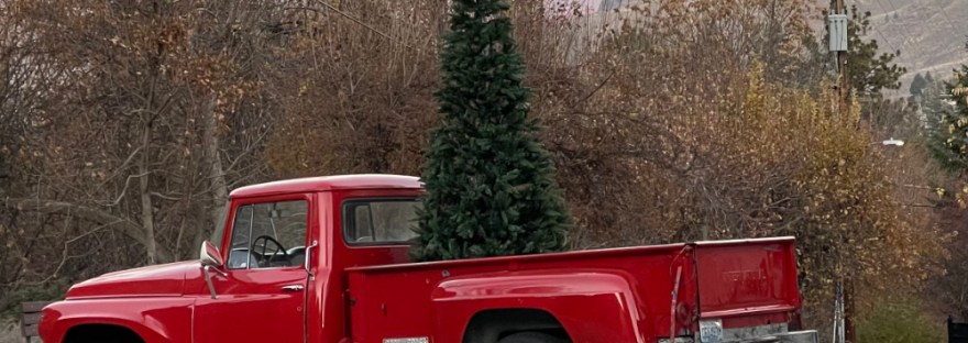 a perfect Christmas Tree in a shiny red truck at sunset where the hills shine orange