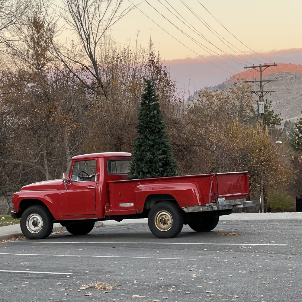 a perfect Christmas Tree in a shiny red truck at sunset where the hills shine orange