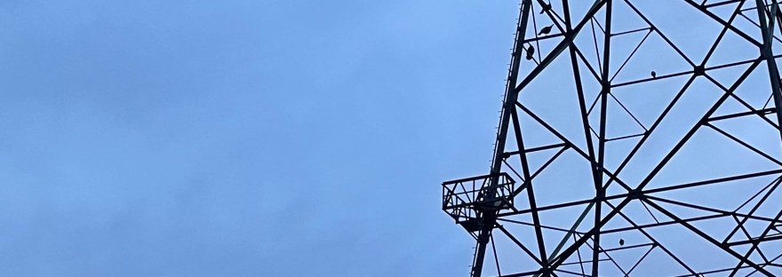 electricity tower where turkeys roost