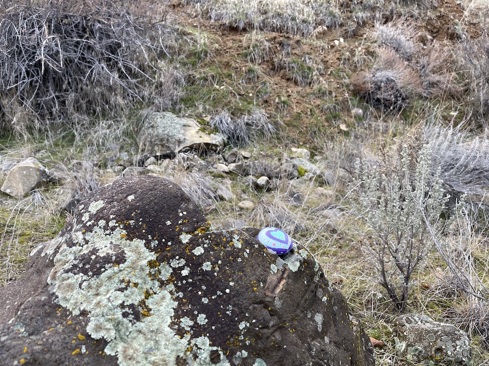 found a painted rock -- concentric hearts with dots around it