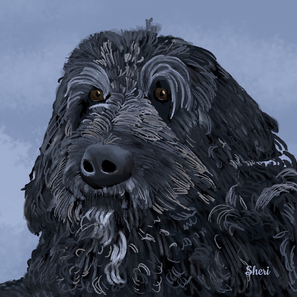 digital illustration of Guthrie by Sheri Edwards