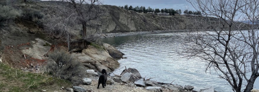 winter day at Crescent Bay