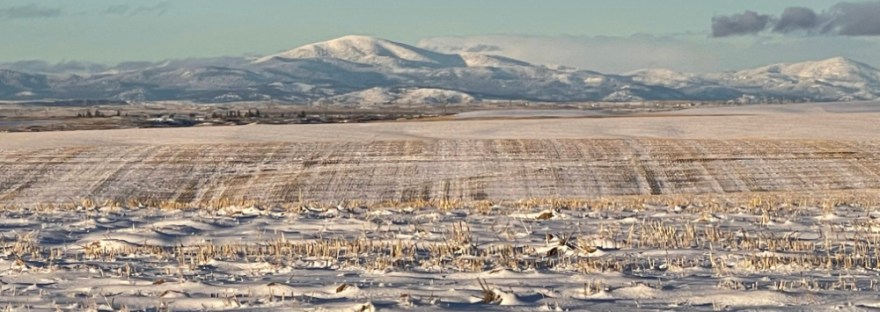 Moses Mountain, Dec. 2021