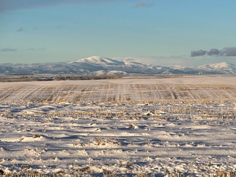 Moses Mountain, Dec. 2021