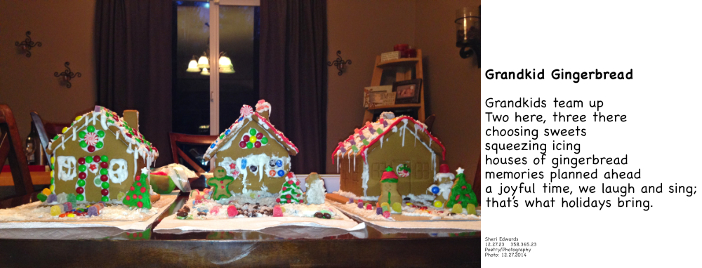 three grandkid created gingerbread houses and poem