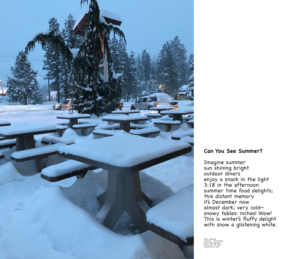 Remembering summer on December 29, 2017 in Leavenworth, Wa at 3:18 pm.  A snowy day.