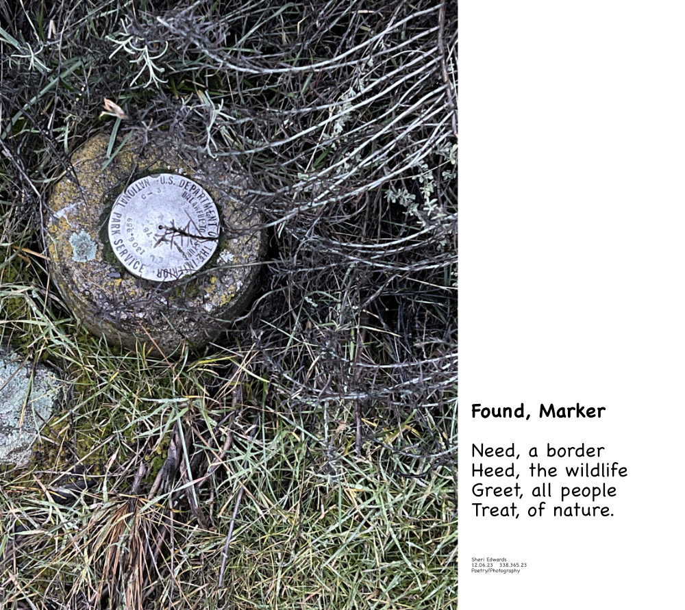 National Park Service marker for Lake Roosevelt National Recreation Area