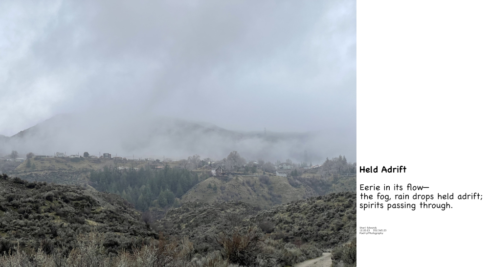 fog above Crescent Bay Lake and poem