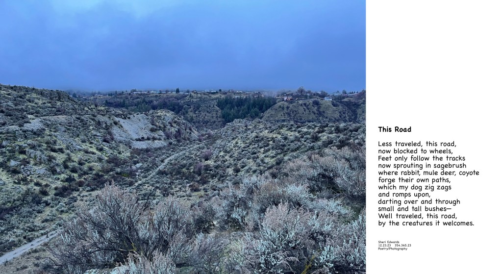 road, now trail, for hiking at Crescent Bay Lake and poem