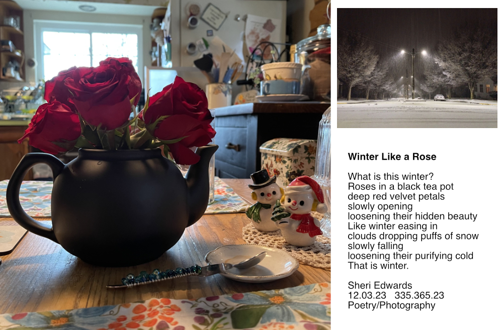 red roses in a black teapot on kitchen table during the holidays; a photo of night time snow fall on the city street; and a poem" Winter Like A Rose"