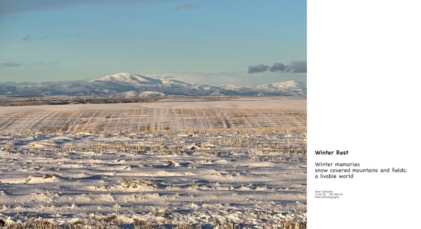 Moses Mountain, Dec. 2021 and haiku