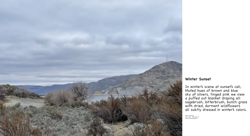 sunset in December on the shrub-steppe ecosystem and poem