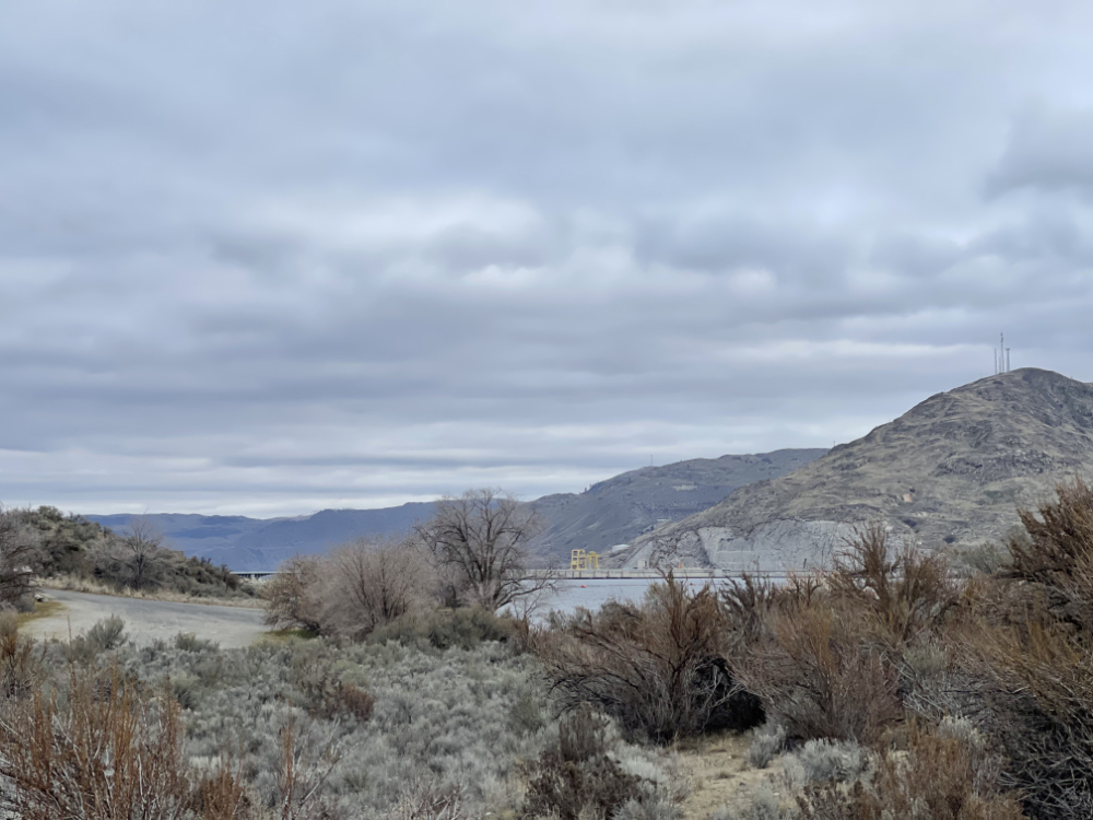 sunset in December on the shrub-steppe ecosystem