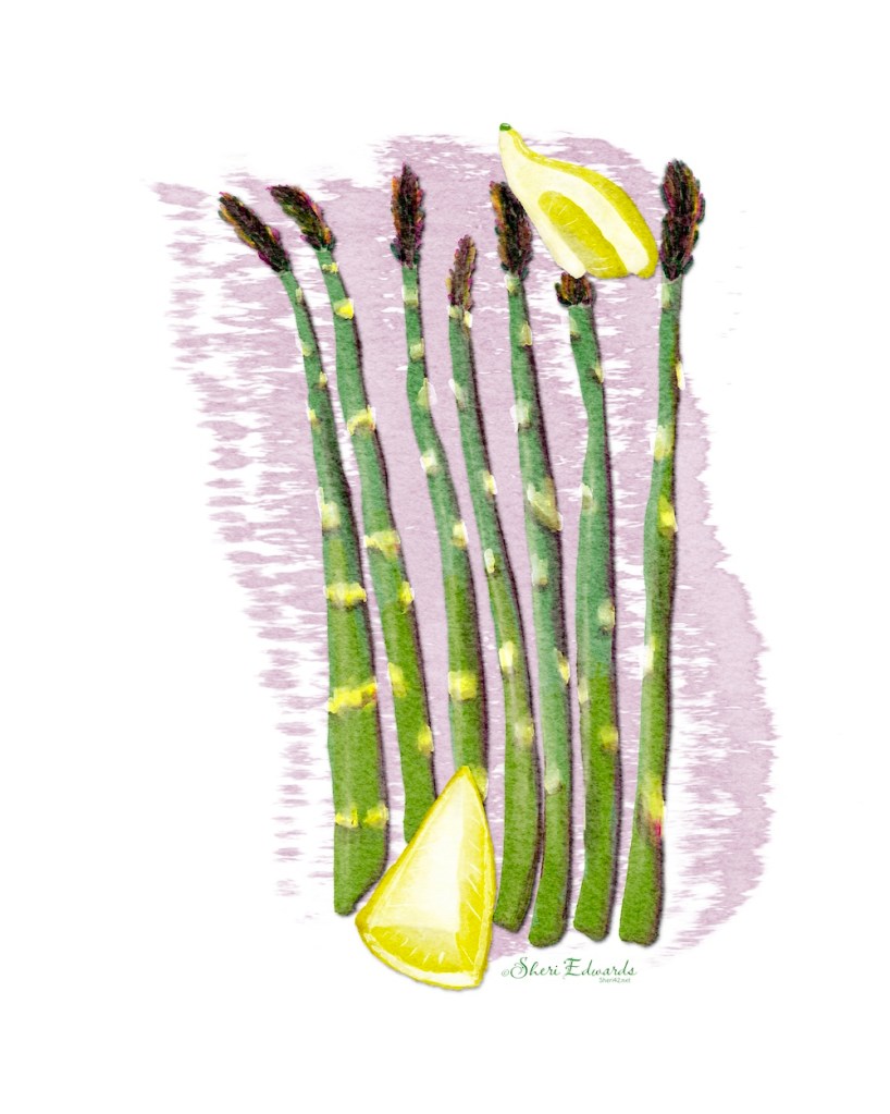 asparagus and lemon; watercolor illustration by Sheri Edwards