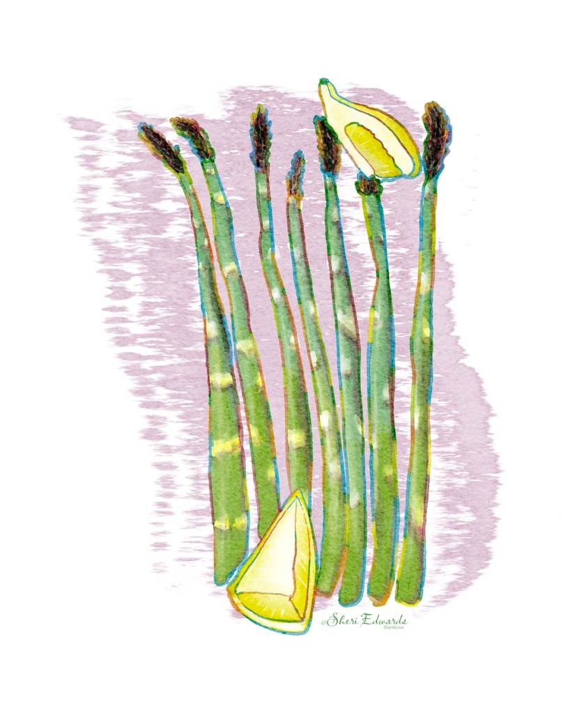 asparagus and lemon; watercolor illustration with rainbow outline by Sheri Edwards