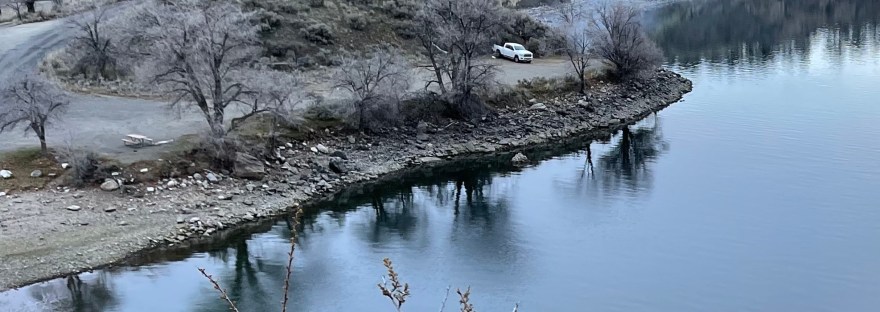 reflections of elm trees in the lake: Crescent Bay
