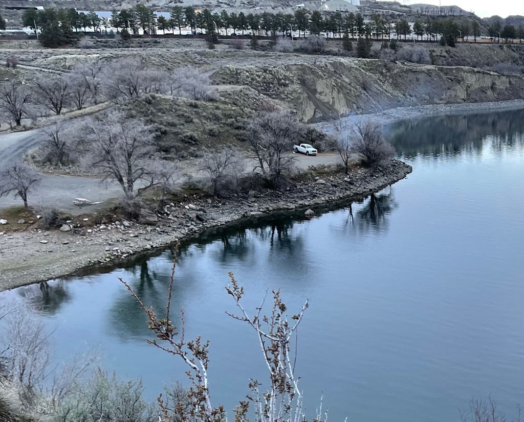 reflections of elm trees in the lake:  Crescent Bay