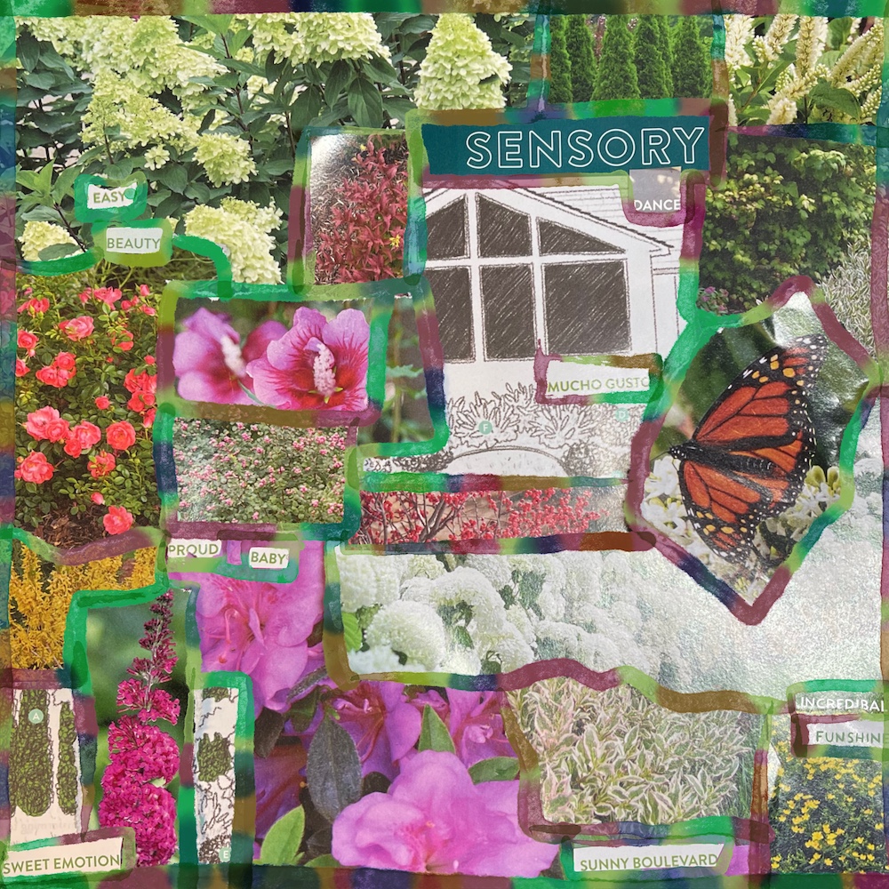 collage made with gardening catalogue  with added outlines in rainbow colors