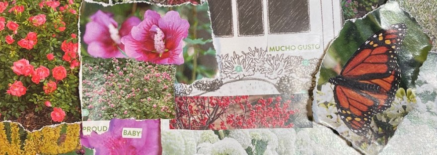 collage made with gardening catalogue