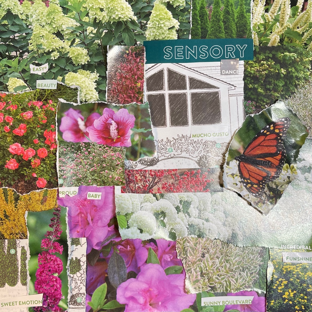collage made with gardening catalogue 