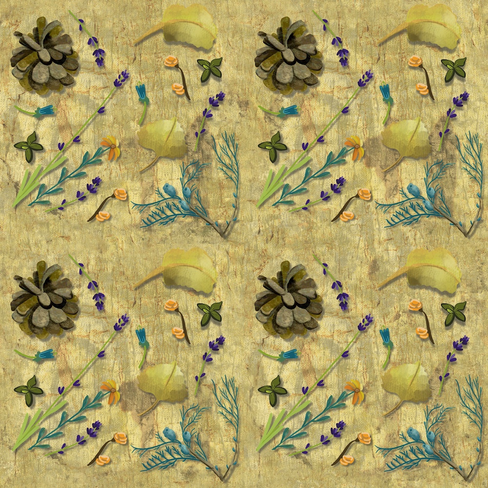 illustration of nature items over textured background from nature
