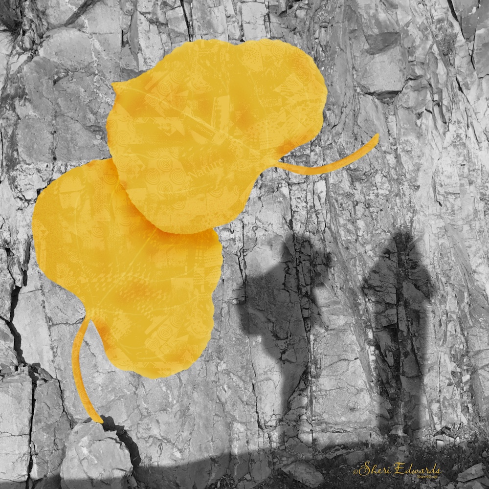 final project: leaves imprinted with manipulated collage on top of a background of a rock wall with people shadows.