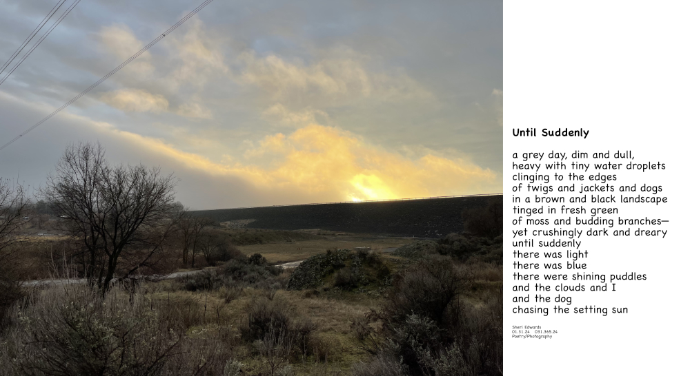 a dull grey rainy day at North Dam Park until suddenly there was light and the poem