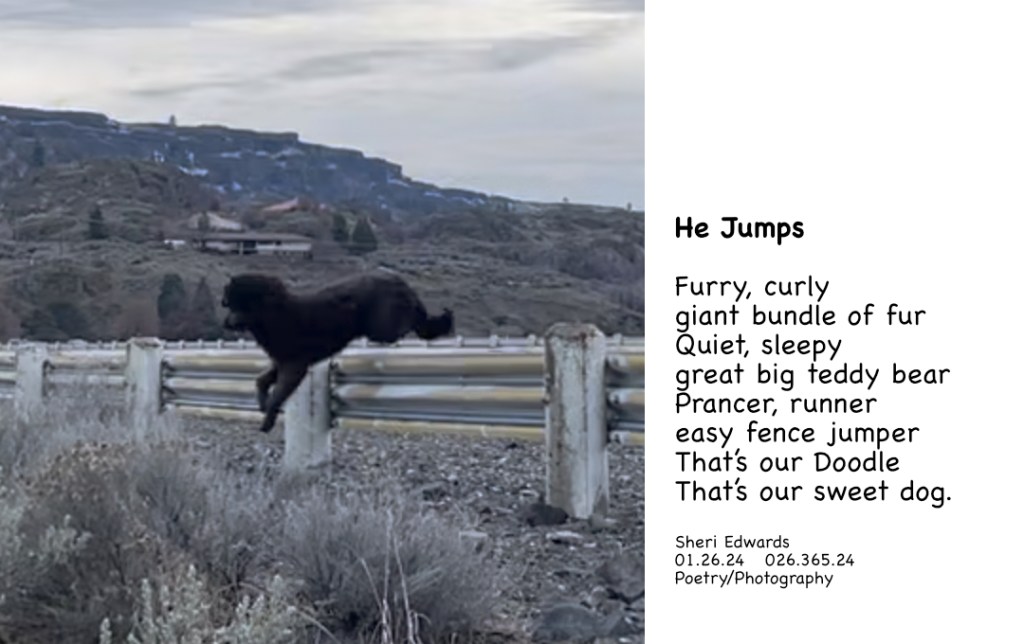 Guthrie easily jumps over the guard rail on our walk. and poem