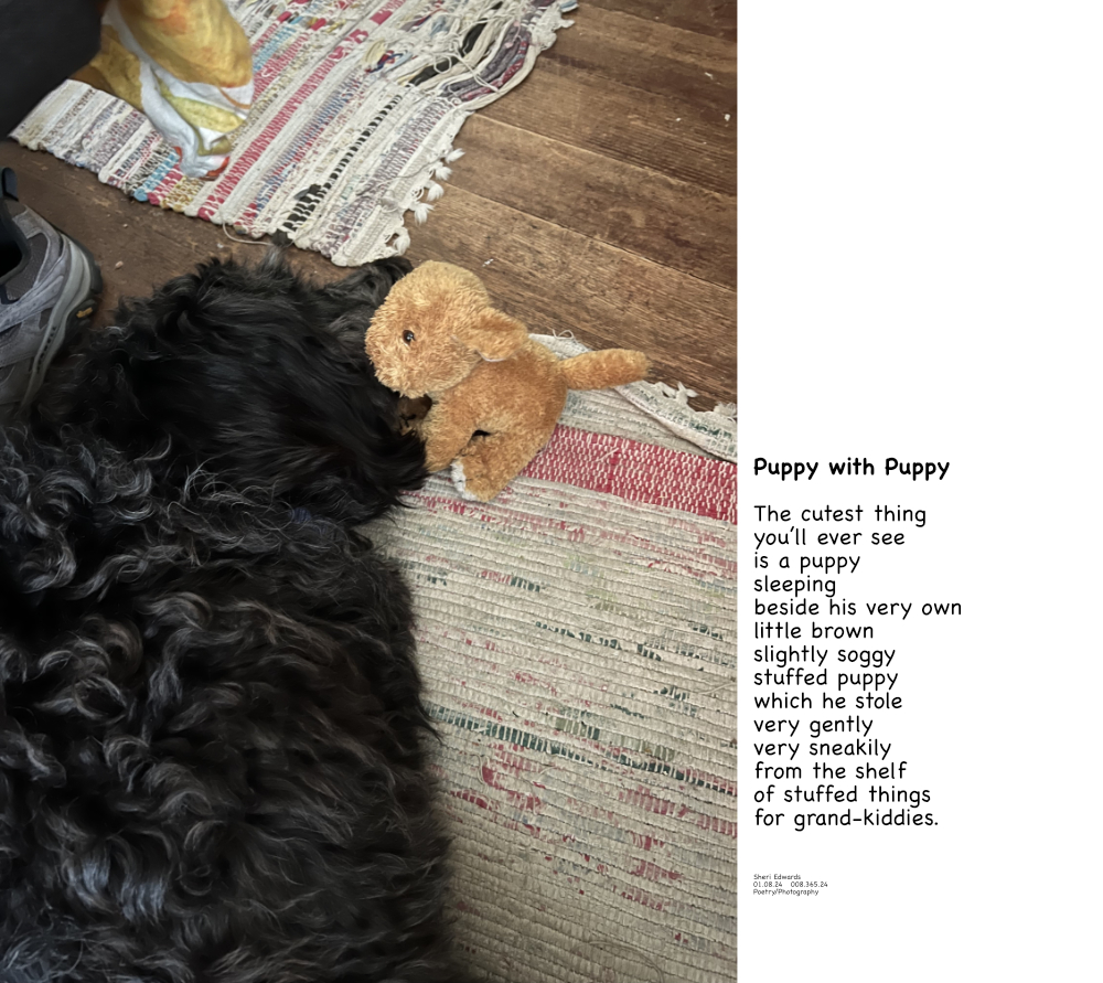 the dog sleeps with his own little stuffed brown puppy and poem