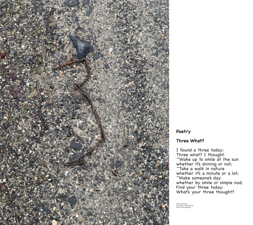 the number three, formed by broken twigs; found on my walk today and a poem