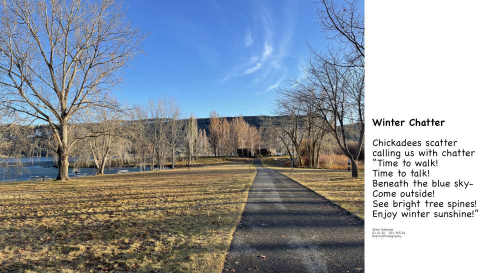 Steamboat State Park on Banks Lake on a sunshine-filled winter day and poem