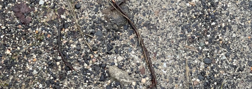 the number three, formed by broken twigs; found on my walk today